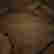 item-97347899=5