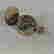 item-103053784=6
