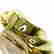 item-120607124=4