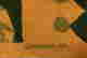 item-120960134=3