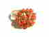 item-121005020=2