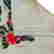 item-121006011=2