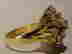 item-121006564=2