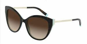 TIFFANY TF4166 81343B Havana Cat Eye Women's 55 mm