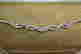 item-126885004=4