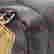 item-127279645=5