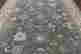 item-127937066=3