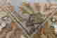 item-127937449=3