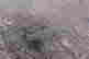 item-127939559=4