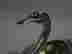 item-127939819=4