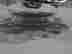 item-127940423=4