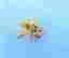 item-129593002=2