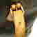 item-131827492=9