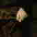 item-131827771=8