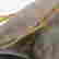 item-131828041=9