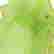 item-133302462=6