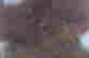 item-133960274=10