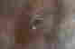 item-133960274=8