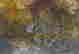 item-133967460=10