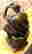 item-133970034=4