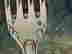 item-134006145=12