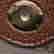item-134020544=2