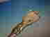 item-136434998=7