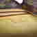 item-136639511=11