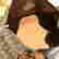 item-136646028=6