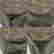 item-137003274=11