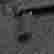item-137003802=3