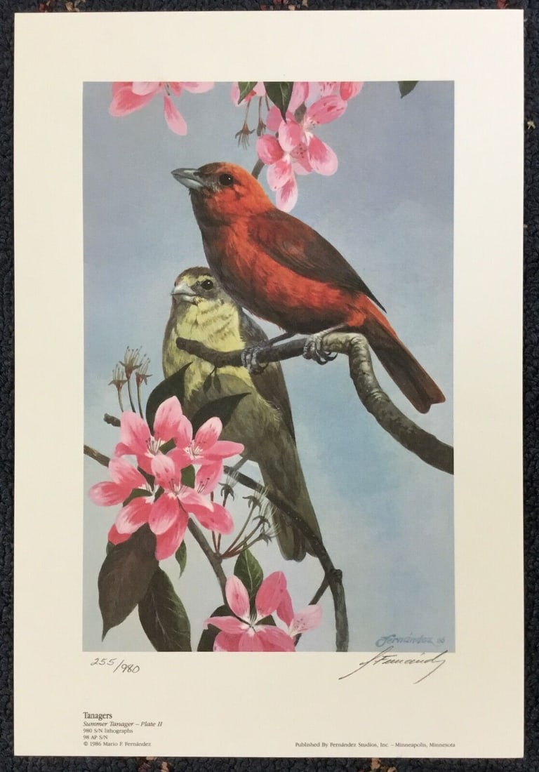 Mario Fernandez 1986 Tanagers Lithograph Print Signed Numbered: Mario Fernandez 1986 Tanagers Lithograph Print Signed Numbered This is a signed and numbered lithograph print titled 'Tanagers' by artist Mario Fernandez, produced in 1986. The artwork features a port