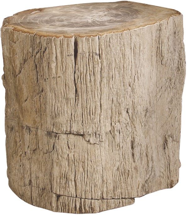 Petrified Wood Side Table: Petrified Wood Side Table The Petrified Wood side table abounds with natural beauty and unique character. Exceedingly rare and visually stunning, this petrified wood stump was formed by minerals cryst