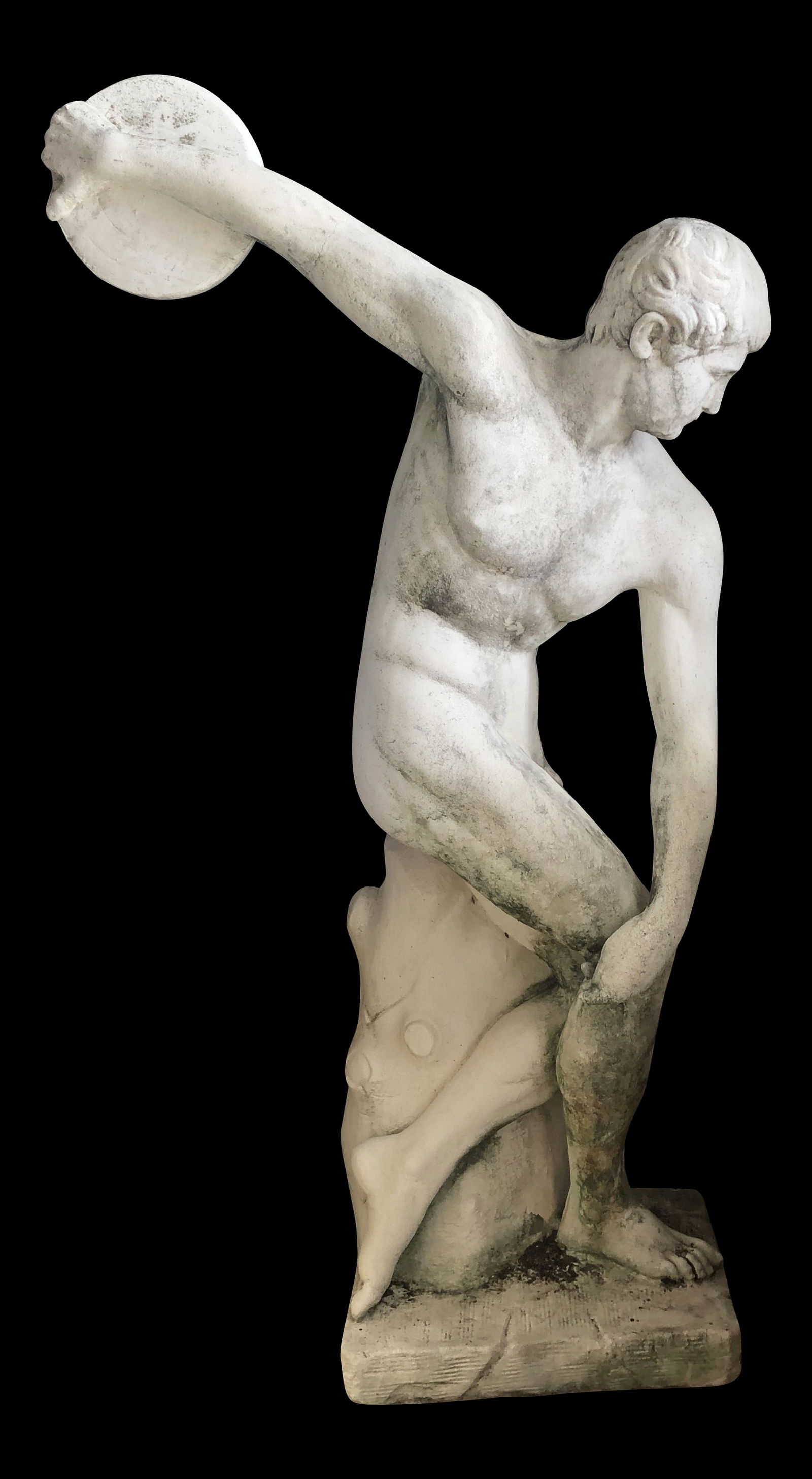 Life Size Concrete Discus Thrower Statue: Life Size Concrete Discus Thrower Statue This stunning life-size statue depicts a Greek discus thrower in a dynamic pose, showcasing detailed anatomical features that enhance its impressive presence.