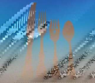 Reed & Barton Francis I Sterling Silver Flatware Set 49 Pieces with Storage Chest (1 of 6)