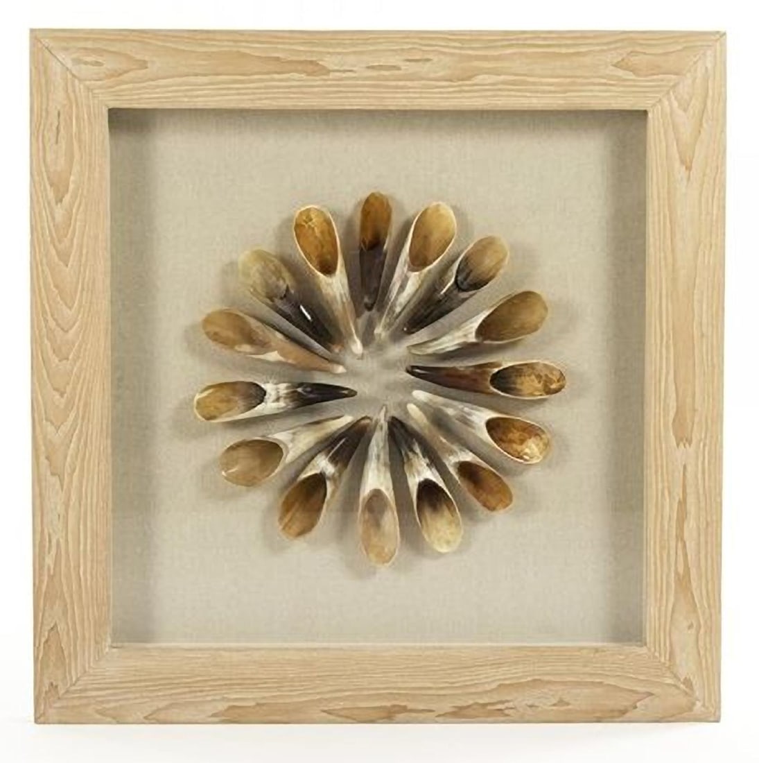 Zentique Abstract Shell Wall Art 35.50x35.50 Polished Frame Beige Finish: Zentique Abstract Shell Wall Art 35.50x35.50 Polished Frame Beige Finish This exquisite abstract shell decor piece is framed and designed to enhance your living space with its unique artistic style. T