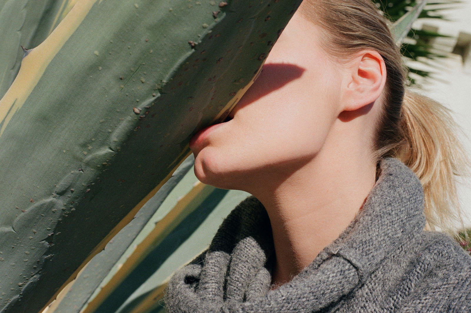 Larsen Sotelo She is Succulent 1 Photography 24 x 36 Limited Edition 1 of 15 COA: Larsen Sotelo She is Succulent 1 Photography 24 x 36 Limited Edition 1 of 15 COA "She is Succulent 1" is a striking photography piece by Larsen Sotelo, created in 2016. This work is part of a limited