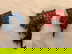 item-207304352=1