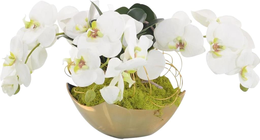 John-Richard White Phalaenopsis Orchids in Gold Metal Vase: John-Richard White Phalaenopsis Orchids in Gold Metal Vase This stunning arrangement features elegant white Phalaenopsis orchids artistically displayed in a gold metal vase, perfect for enhancing any