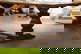 item-209200653=7