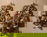 item-209201490=2