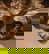 item-209201490=9