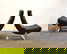 item-209204581=2