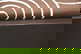 item-209204581=9