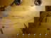 item-209206655=8