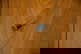 item-209208831=8