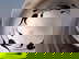 item-209214034=4