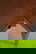 item-209217781=9