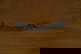 item-209218303=5