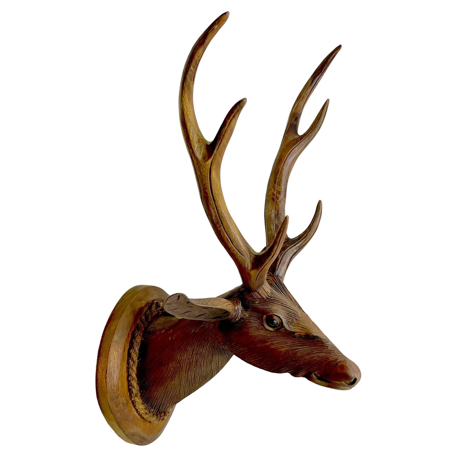 Modern Black Forest 6-Point Deer Shoulder Mount Walnut Art from Switzerland: Modern Black Forest 6-Point Deer Shoulder Mount Walnut Art from Switzerland Enhance your space with the timeless elegance of this Modern Black Forest Carved Walnut 6-Point Deer Shoulder Mount. Origina
